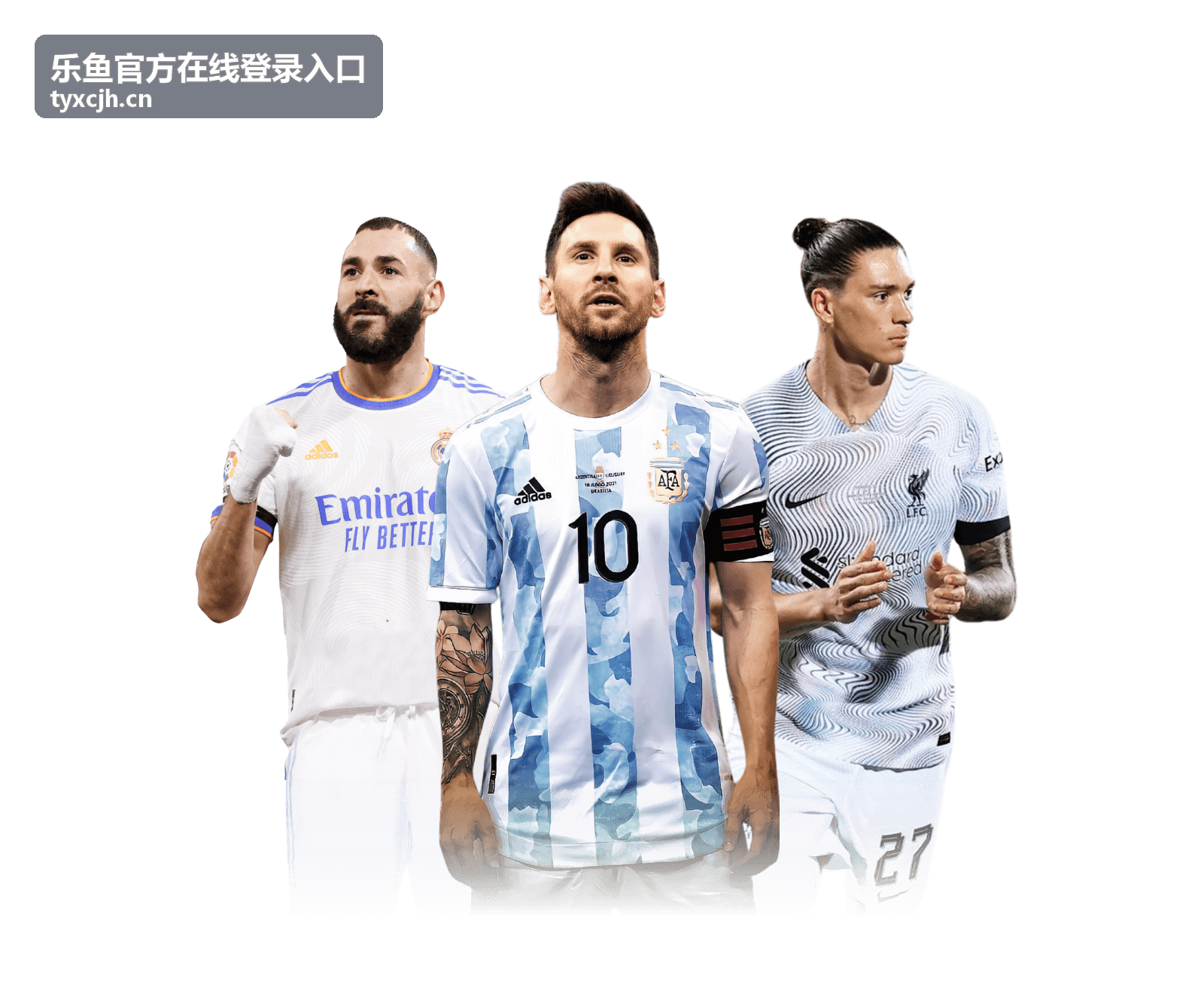 乐鱼官方登录入口 - 账户注册指南